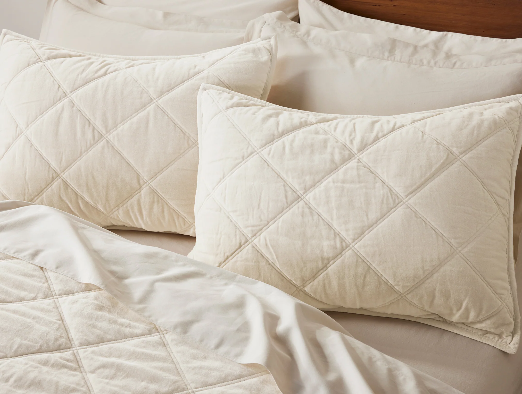 Renewed Bedding